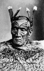 Ritratto di un uomo Maori, prima del 1880